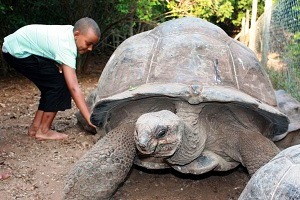 The best tour guide in Zanzibar